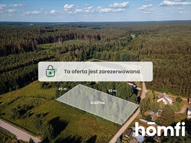Na sprzedaż działka 4273 m² z lasem i dostępem do rzeki działka Wólka-Przedmieście