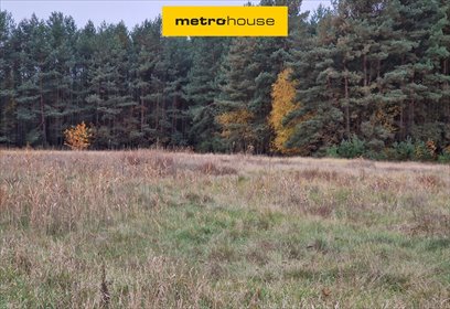 Działka 1200 m² z lasem, inwestycja lub dom działka Cegielnik