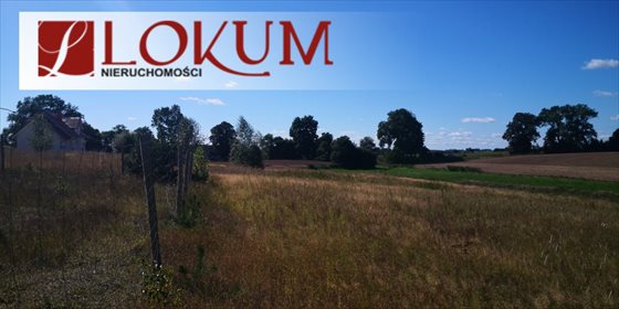 działka na sprzedaż 2330m2 działka Stare Polaszki