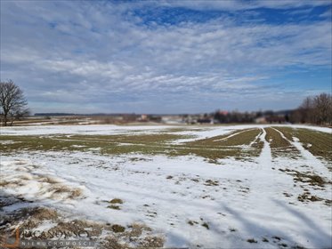 działka na sprzedaż 1434m2 działka Celiny