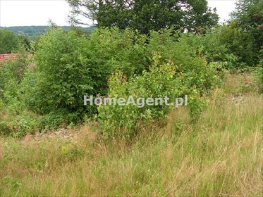 Działka budowlana na sprzedaż Skawica, Sucha Góra 14 591m2 Foto 7