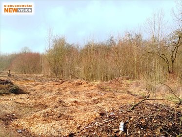 działka na sprzedaż 3537m2 działka Dąbrowa Górnicza, Gołonóg, Górka Gołonoska