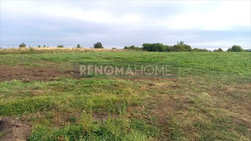 Działka budowlana na sprzedaż Wałbrzych, Rusinowa 1 700m2 Foto 6