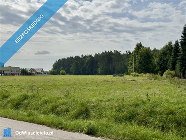Działka inwestycyjna 22 045 m² w Nadarzynie polecam działka Nadarzyn, Żółwińska