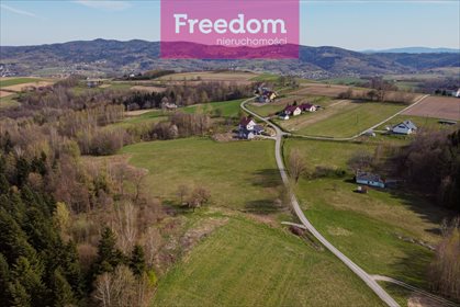 Działka inna na sprzedaż Meszna Opacka 9 075m2 Foto 2