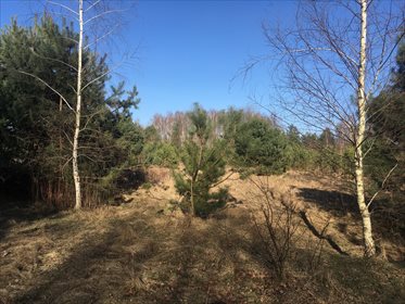 działka na sprzedaż 1000m2 działka Stare Babice, Wojcieszyn