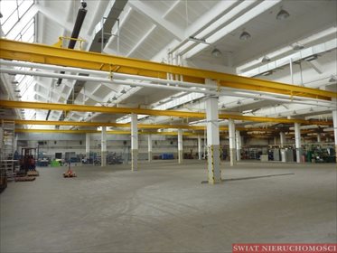 lokal użytkowy na wynajem 1500m2 lokal użytkowy Wrocław, Stare Miasto