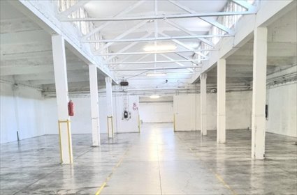 lokal użytkowy na wynajem 2680m2 lokal użytkowy Łódź