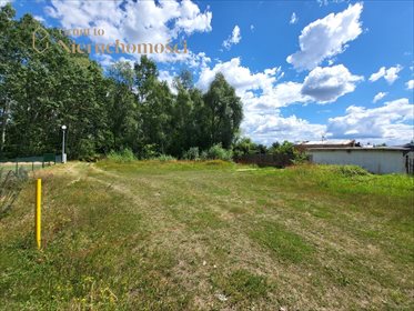 działka na sprzedaż 351m2 działka Poznań, Ławica, Ławica