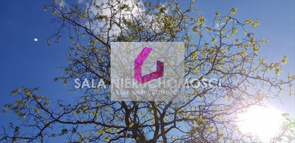 działka na sprzedaż 1005m2 działka Maksymilianowo