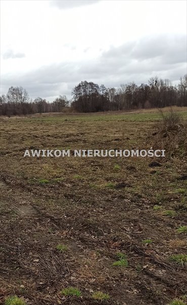 działka na sprzedaż 1564m2 działka Jaktorów, Budy Zosine