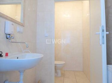 Lokal użytkowy na wynajem Romanów, Romanów, Romanów 430m2 Foto 6