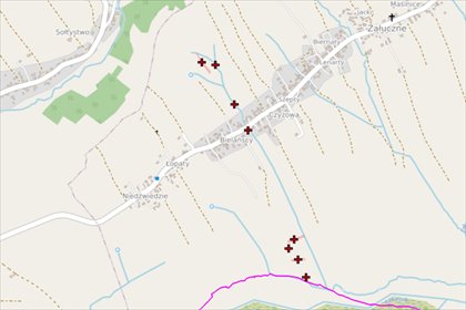działka na sprzedaż 3836m2 działka Załuczne