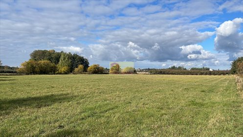 działka na sprzedaż 11400m2 działka Boglewice