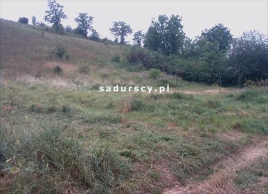 Działka budowlana na sprzedaż Prandocin-Iły 5 000m2 Foto 4