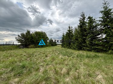działka na sprzedaż 4300m2 działka Osowo Leśne