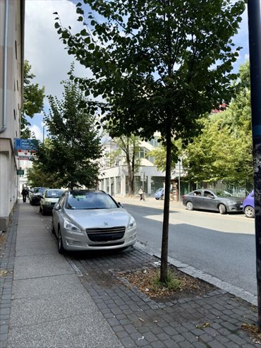 lokal użytkowy na wynajem 40m2 lokal użytkowy Opole, Kołłątaja
