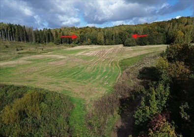 Działka rolna 3034 m² w Biesowie - polecam działka Biesowo, Pogodna