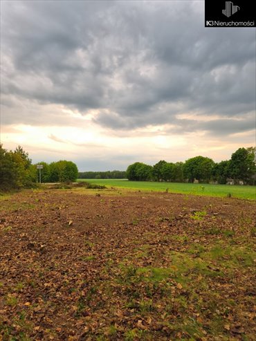działka na sprzedaż 1122m2 działka Siemiątkowo, Zygmunta Padlewskiego