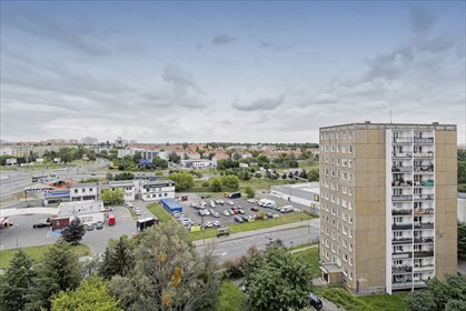 mieszkanie na wynajem 54m2 mieszkanie Poznań