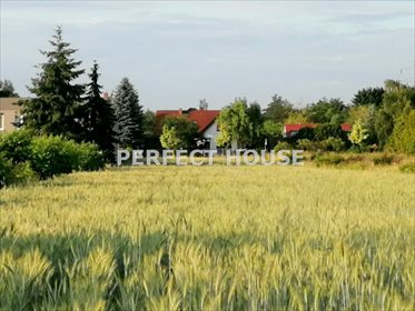 działka na sprzedaż 926m2 działka Skórzewo