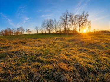 Sprzedam działkę 5100 m² z możliwością zabudowy i własnym ujęciem wody działka Rząśnik