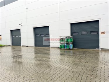magazyn na wynajem 2500m2 magazyn Kraków, Rybitwy, Rybitwy
