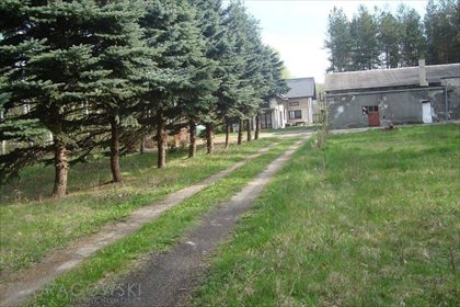 Dom na sprzedaż Lasek 126m2 Foto 1