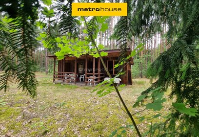 działka na sprzedaż 3300m2 działka Mierzwice-Kolonia