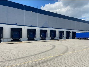 magazyn na wynajem 4000m2 magazyn Ołtarzew
