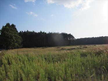 Działki Rakowo - inwestycja pod dom i działalność działka Rakowo, Rakowo, Rakowo