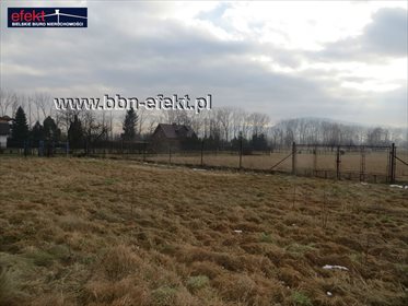 Działka budowlana na sprzedaż Bujaków 3 633m2 Foto 3