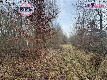 działka na sprzedaż 1441m2 działka Gdańsk, Grzybowa