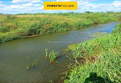 działka na sprzedaż 2700m2 działka Ostrów