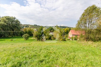 Polecam dom z dużą działką 1,26 ha w spokojnej okolicy dom Kielnarowa