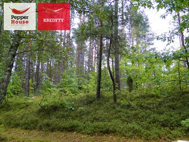 Działka 3000 m² z dostępem do jezior i lasu - MPZP działka Skorzewo