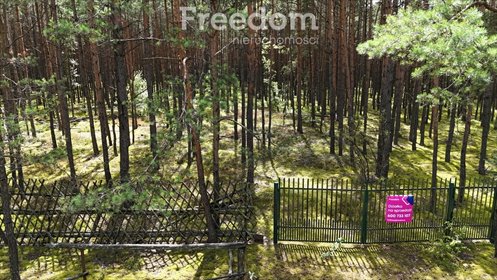 działka na sprzedaż 5500m2 działka Ołdakowizna