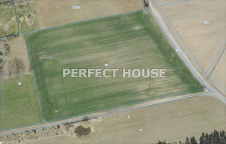 Działka rolna na sprzedaż Miłkowo 1 500m2 Foto 4