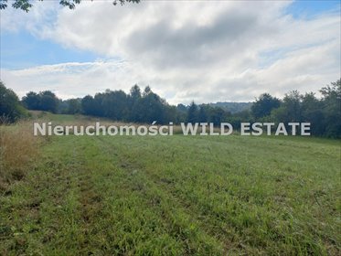 działka na sprzedaż 2956m2 działka Lesko, Lesko