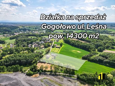 działka na sprzedaż 143000m2 działka Gogołowa
