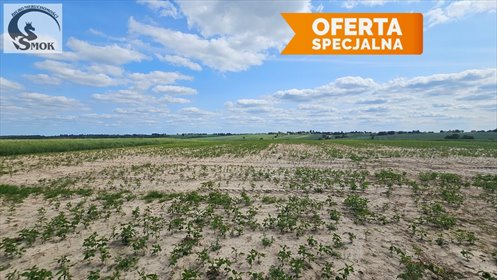 działka na sprzedaż 1200m2 działka Celiny