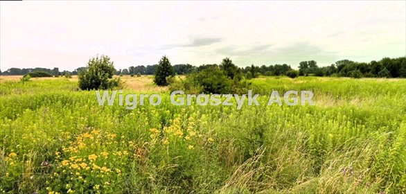Działka rolna 1997 m² z mediami, szybki dojazd - polecam! działka Pieńków
