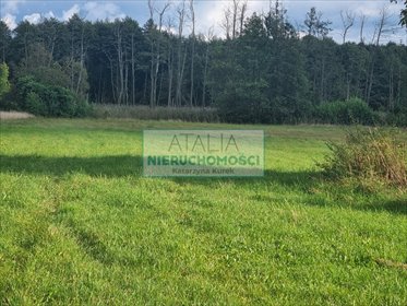 Urokliwa działka 1300 m² z mediami i MPZP w Żelechowie działka Żelechów