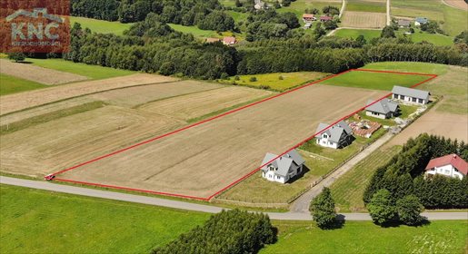 Działka inwestycyjna na sprzedaż Niewodna 14 000m2 Foto 1