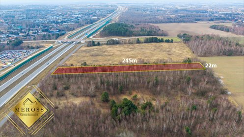 Działka gospodarstwo rolne na sprzedaż Wierzchowisko 5 390m2 Foto 4