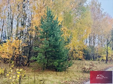 działka na sprzedaż 1405m2 działka Słowak, Słowak, Gwiazdy Polarnej