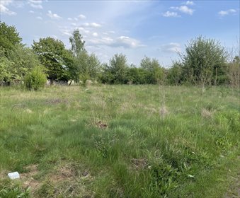 działka na sprzedaż 1066m2 działka Jastrząb, Jastrząb, Konopnickiej