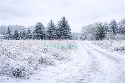 działka na sprzedaż 2000m2 działka Ojrzanów