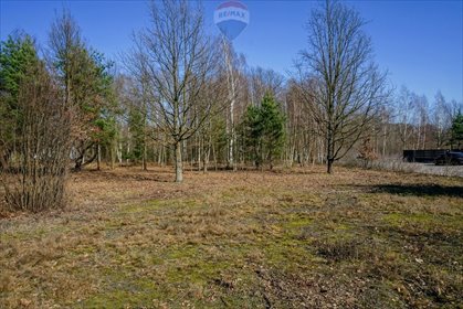 działka na sprzedaż 1004m2 działka Grądy, Topolowa