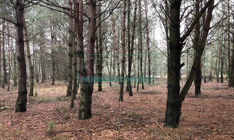 działka na sprzedaż 2400m2 działka Owczarnia